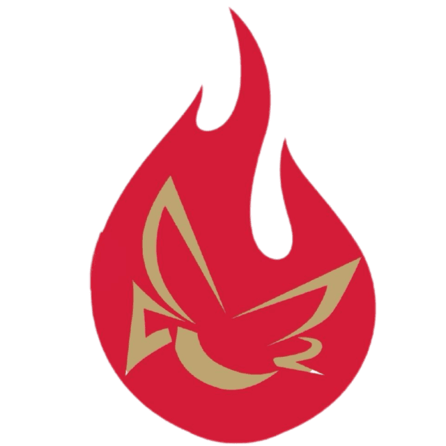 El Visitante de Puerto Rico